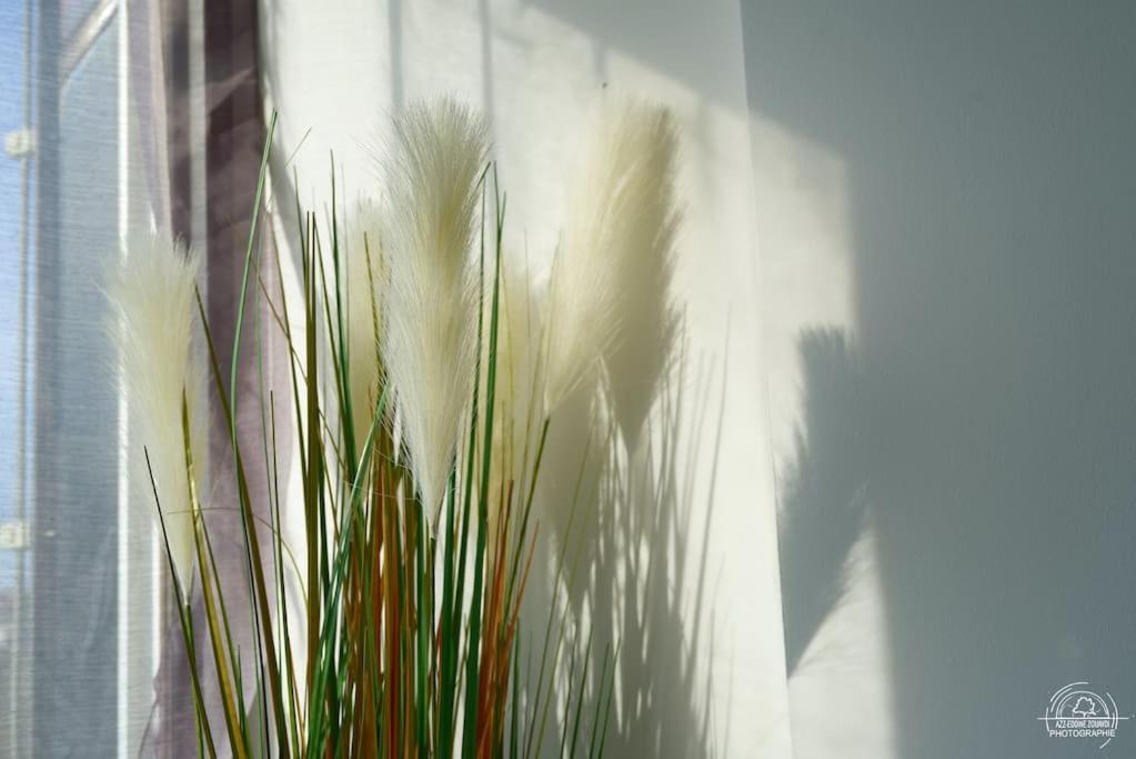 Suite Le Cocoon & Spa By Nancyintimelounge Eksteriør billede